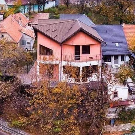 Tampa Braşov
