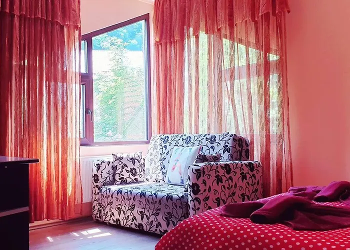 Holiday home Tampa *