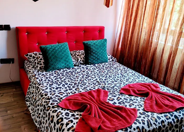 Tampa Holiday home *